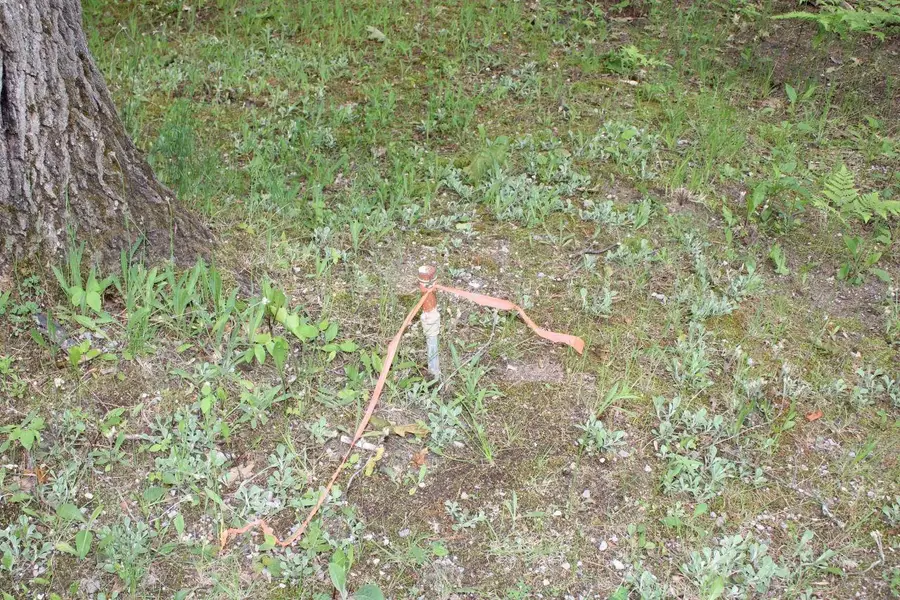 001 Blue Haven, Kalkaska, MI 49646 - Image #3