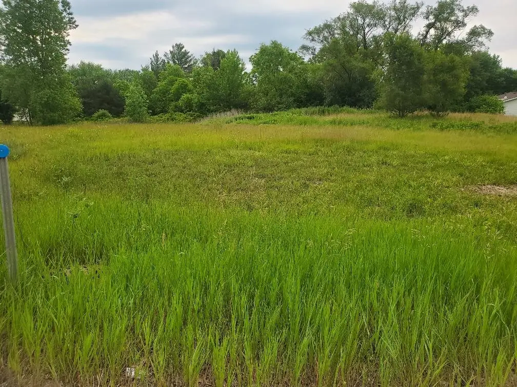 TBD E Pickard, Mount Pleasant, MI 48858 - Image #1