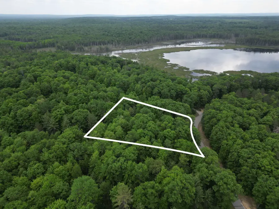 TBD Sandhill Crane, Kalkaska, MI 49646 - Image #3