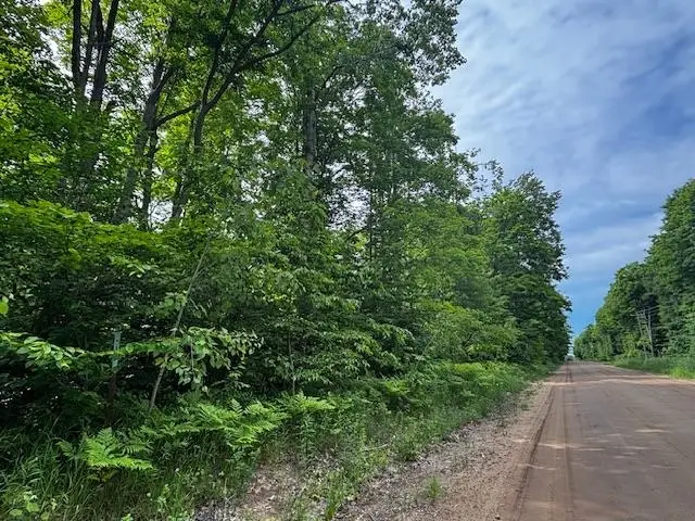 4856 Mancelona, Mancelona, MI 49659 - Image #2