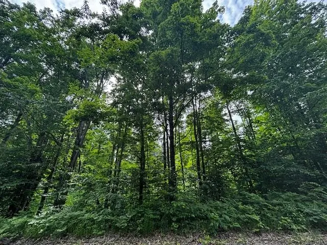 4856 Mancelona, Mancelona, MI 49659 - Image #3