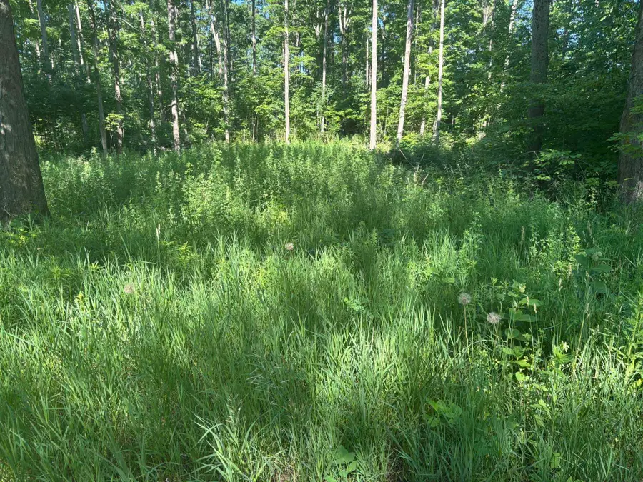 VL Forward, Lake City, MI 49651 - Image #2