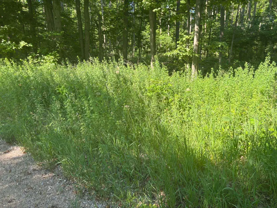 VL Forward, Lake City, MI 49651 - Image #3