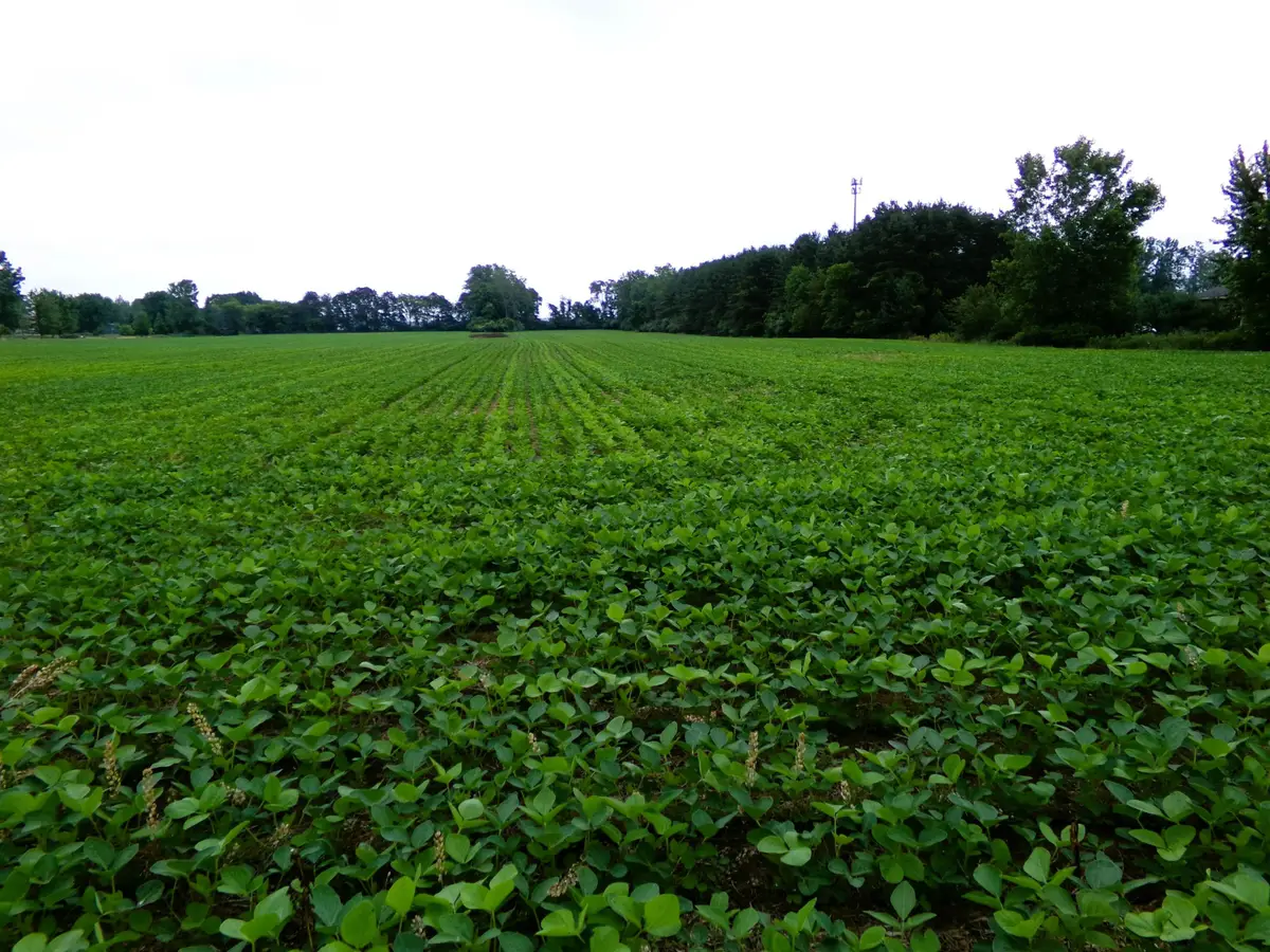 TBD Garfield, Saginaw, MI 48603 - #1