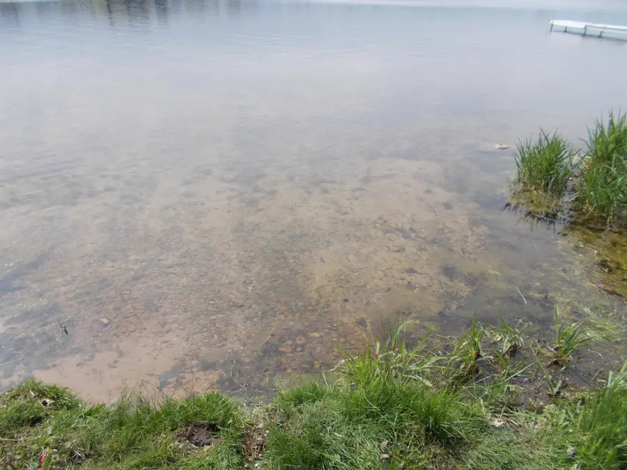 2995 Maple, Hale, MI 48739 - #2