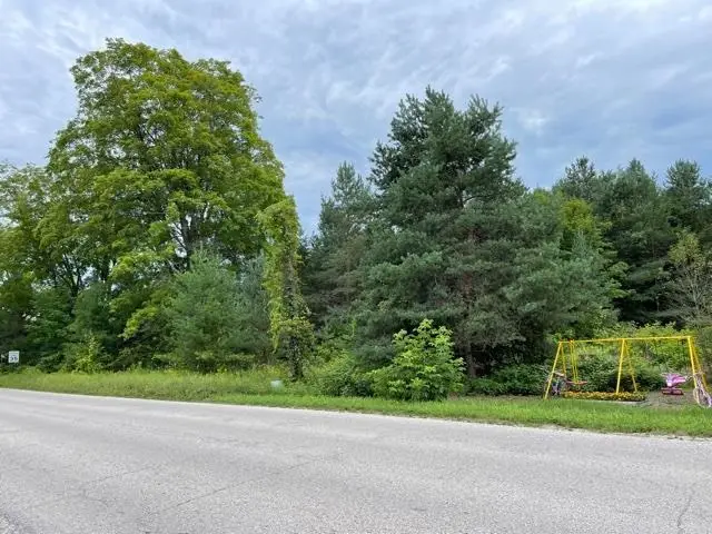 00 E State, Central Lake, MI 49622 - Image #3