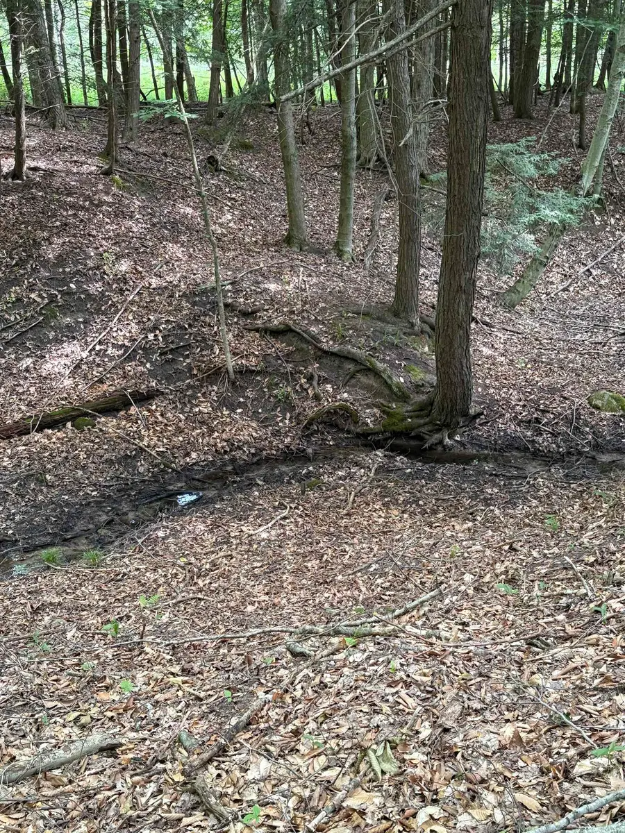 11546 E 3 1/2, Luther, MI 49656 - Image #2