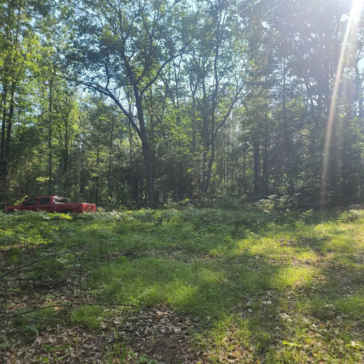 0000 NE Bailey, Kalkaska, MI 49646 - Image #1