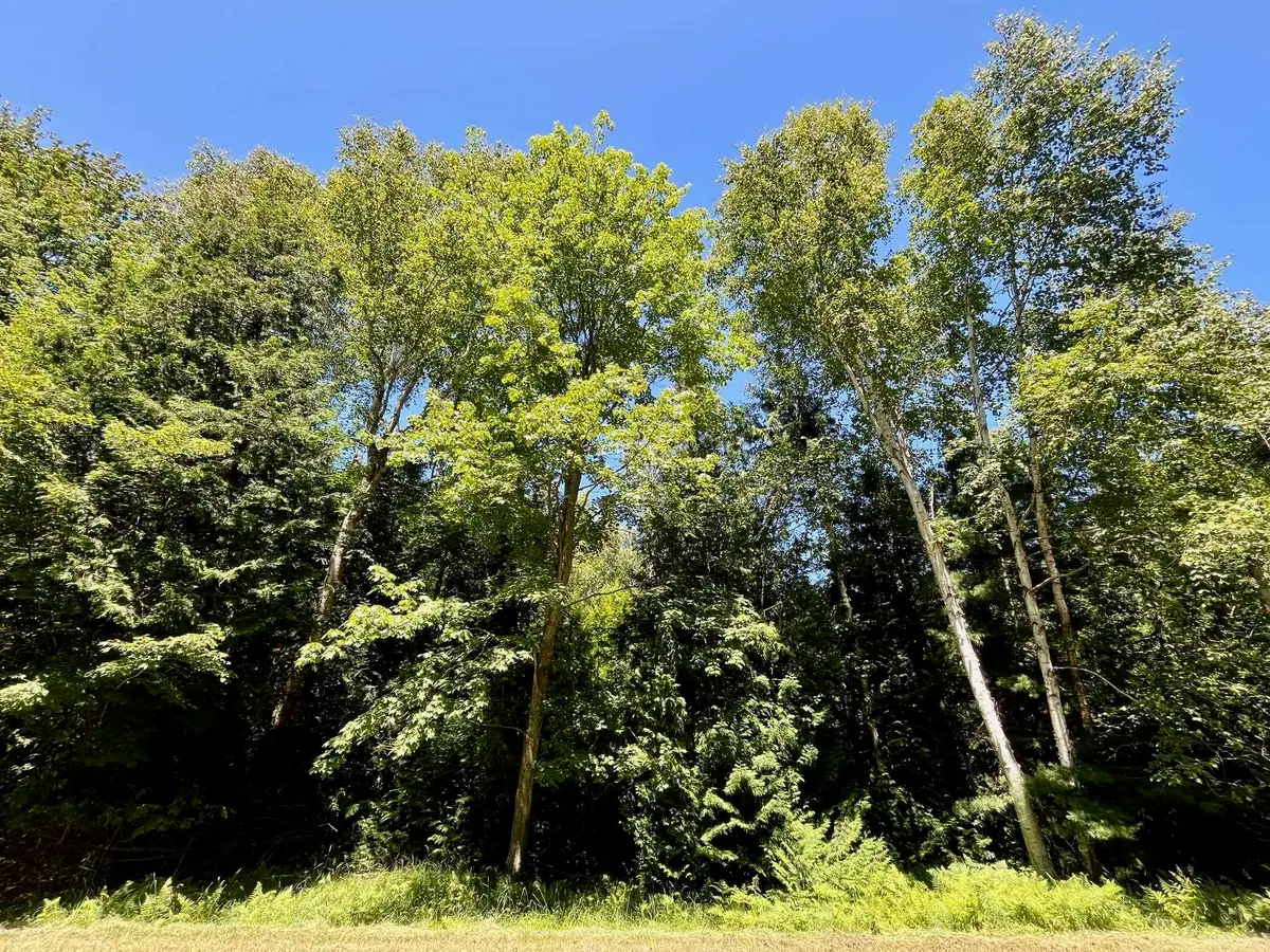 0 Concord, Oscoda, MI 48750 - #1