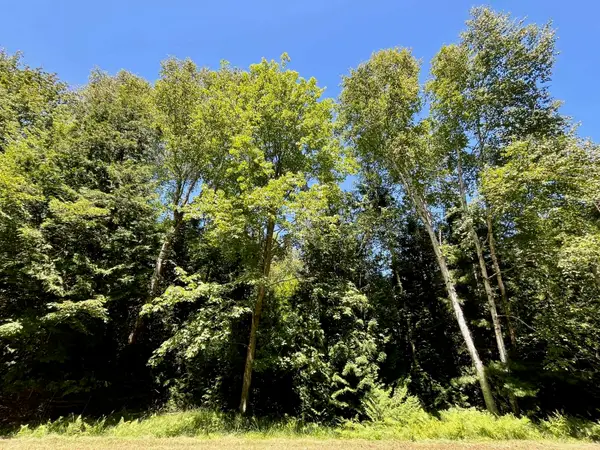 0 Concord, Oscoda, MI 48750