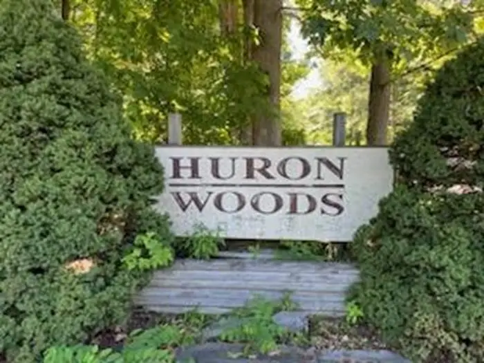 N/A Huron Woods, Tawas City, MI 48763 - Image #2
