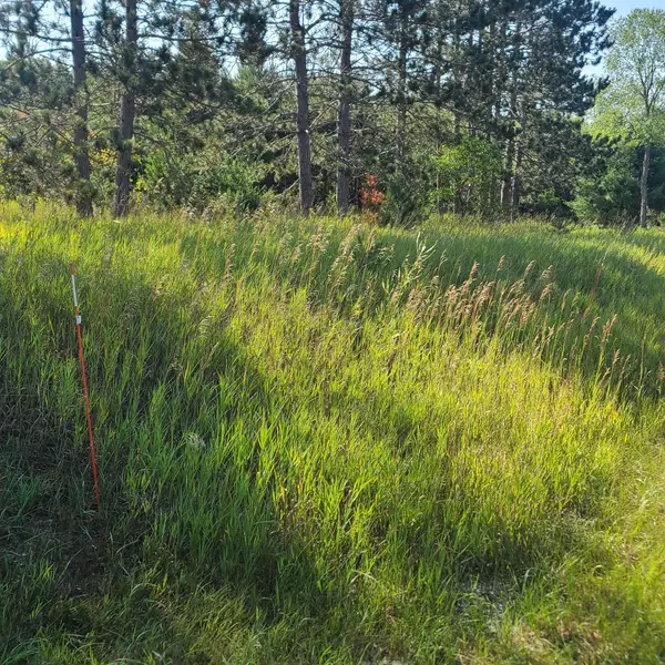 0002 M-66 Se, Fife Lake, MI 49633