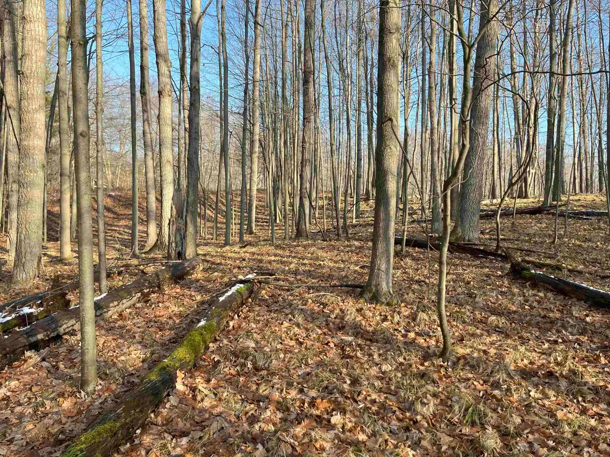 9357 W Circle, Stanwood, MI 49346 - #1