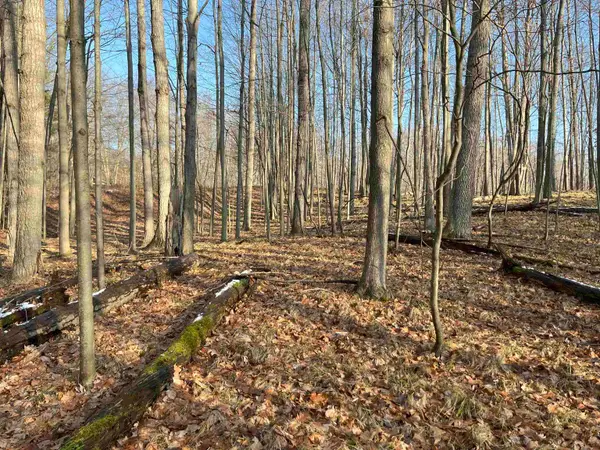 9357 W Circle, Stanwood, MI 49346