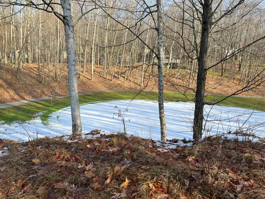 9357 W Circle, Stanwood, MI 49346 - #2