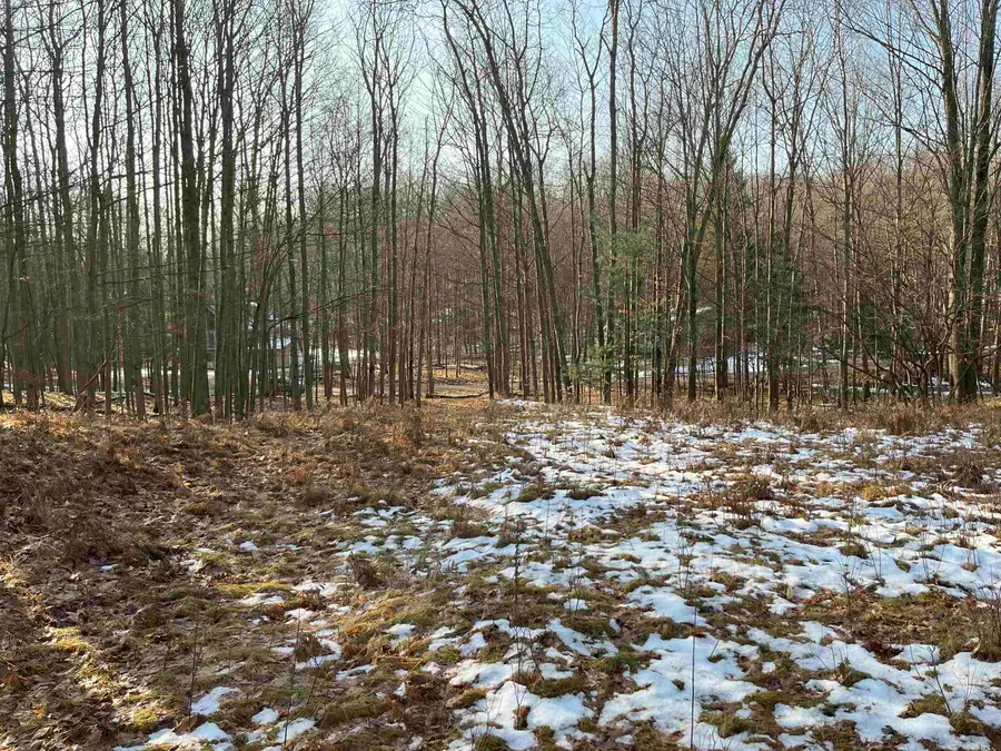 9357 W Circle, Stanwood, MI 49346 - #3