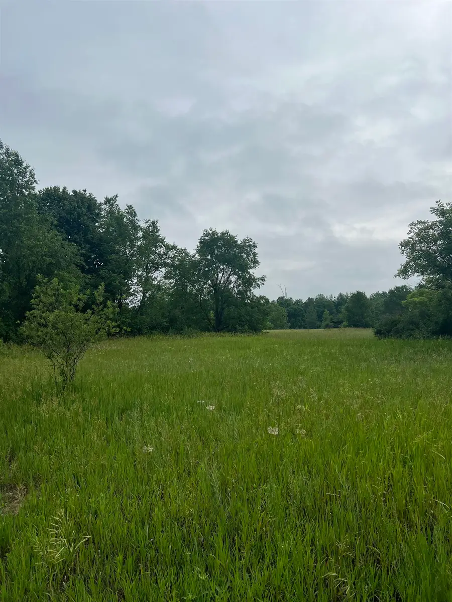 15040 North, Thompsonville, MI 49683 - #3