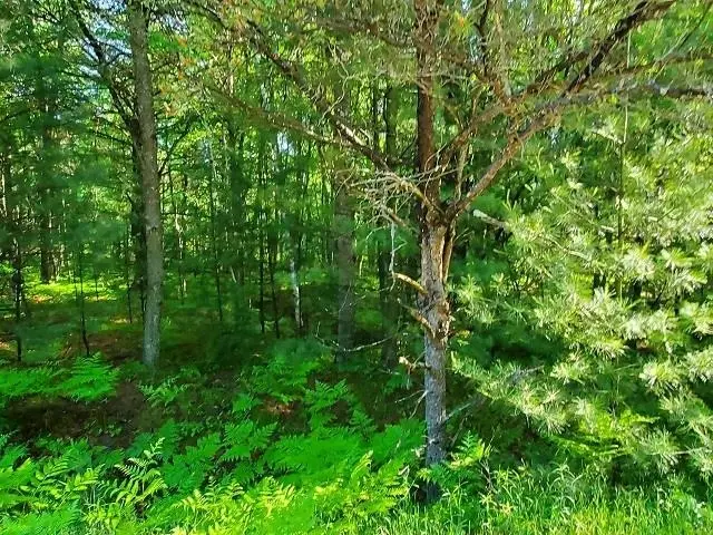 0 Hillside, Alger, MI 48610 - #1