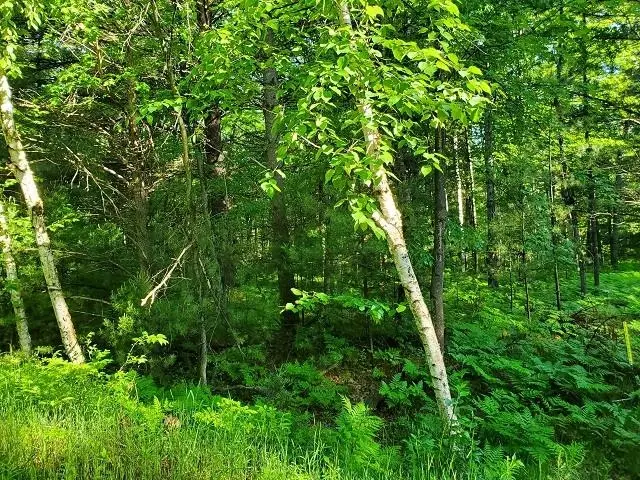 0 Hillside, Alger, MI 48610 - #2