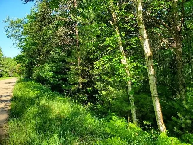 0 Hillside, Alger, MI 48610 - #3