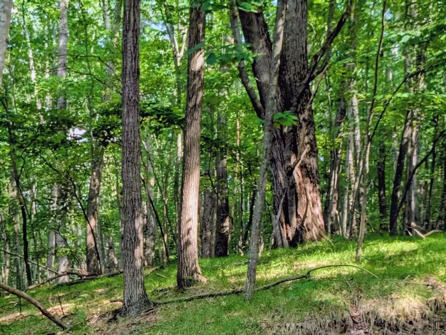 11717 Broken Arrow, Canadian Lakes, MI 49346 - Image #3