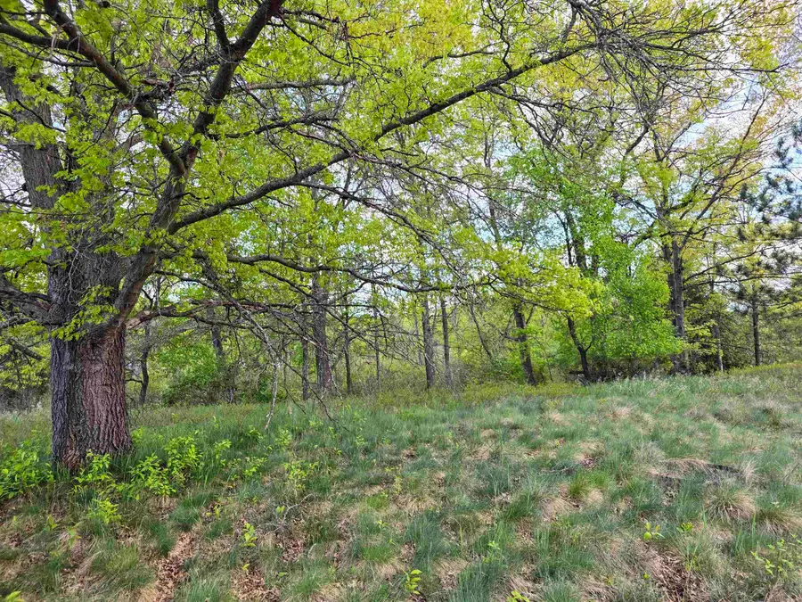 Cedar and 12th, Evart, MI 49631 - Image #2