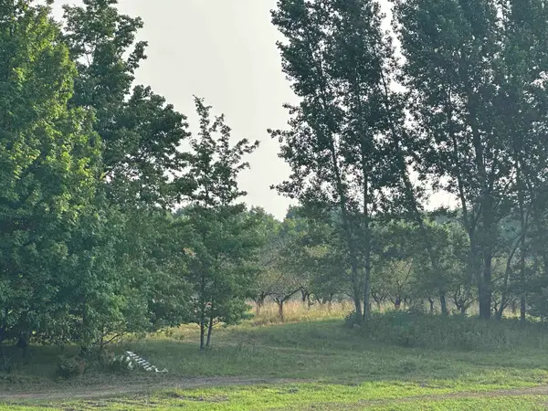 Parcel 6 Karnes, Glen Arbor, MI 49636