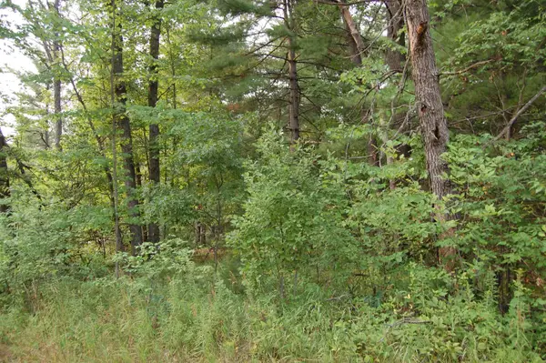 LOT 21-22 George, Prescott, MI 48756