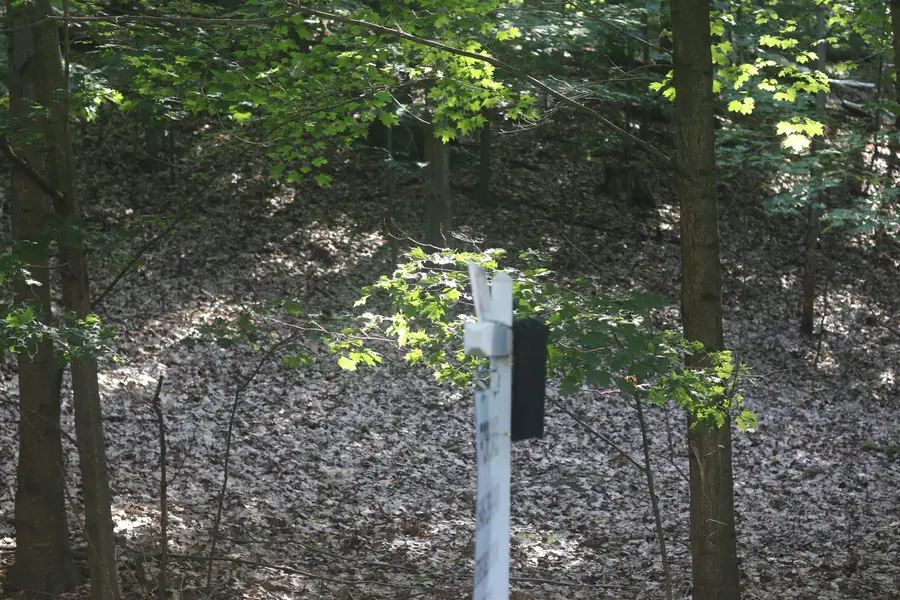 Lot 20 Crystal View, Beulah, MI 49617 - Image #2