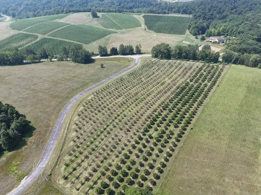 V/L N Matheson, Northport, MI 49670 - #3