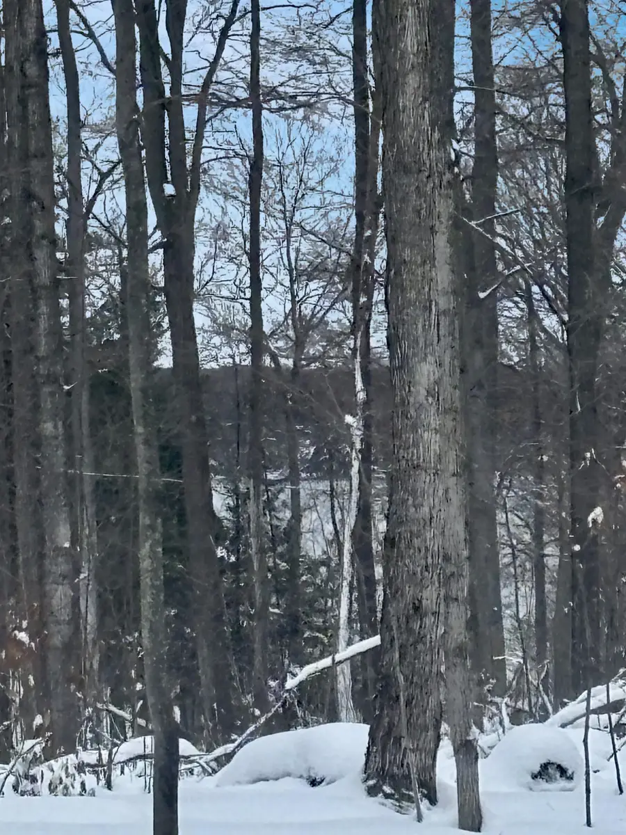 Lot 3 Manistee Ridge Drive Ne, Kalkaska, MI 49646 - Image #3