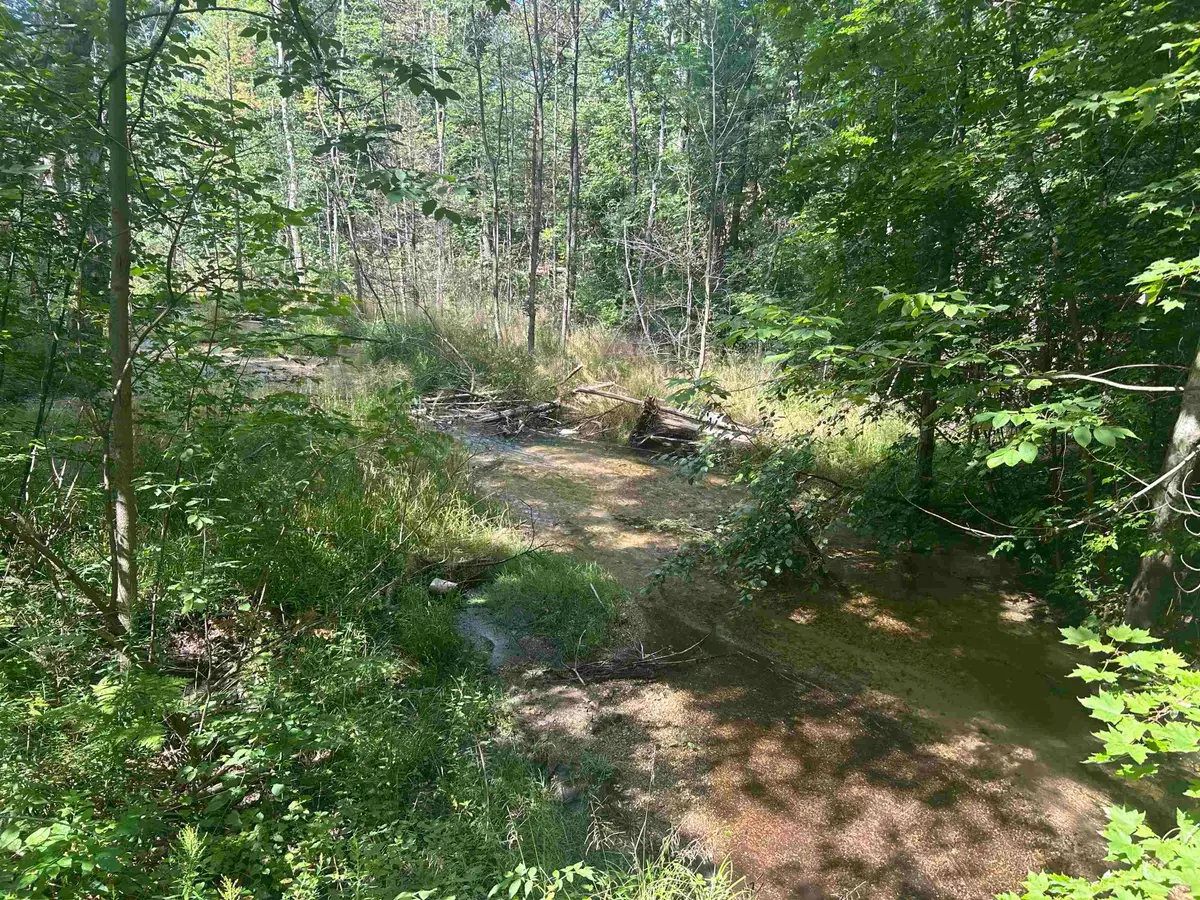 Parcel 2 S M-88, Bellaire, MI 49615 - #1