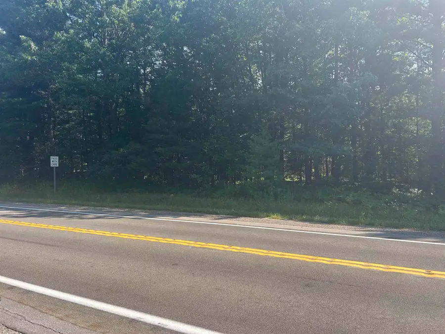 Parcel 2 S M-88, Bellaire, MI 49615 - #3