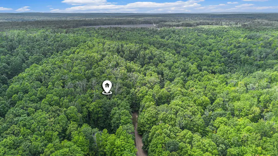 13218 NE Heller, Kalkaska, MI 49646 - Image #2