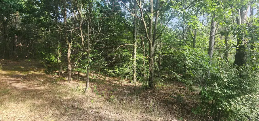 00 W Phelps, Manton, MI 49663 - Image #2