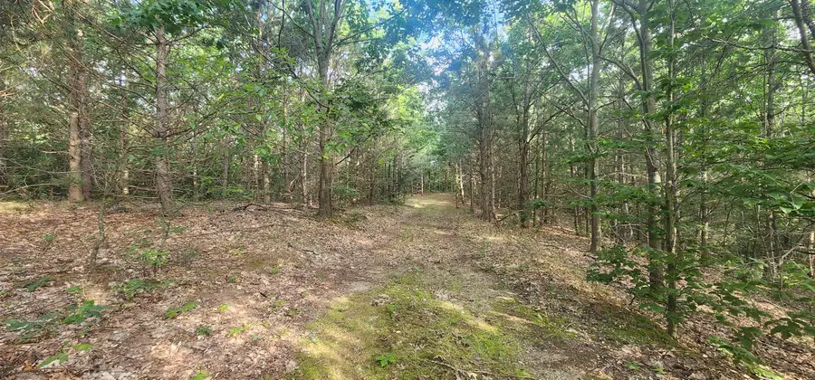 00 W Phelps, Manton, MI 49663 - Image #3