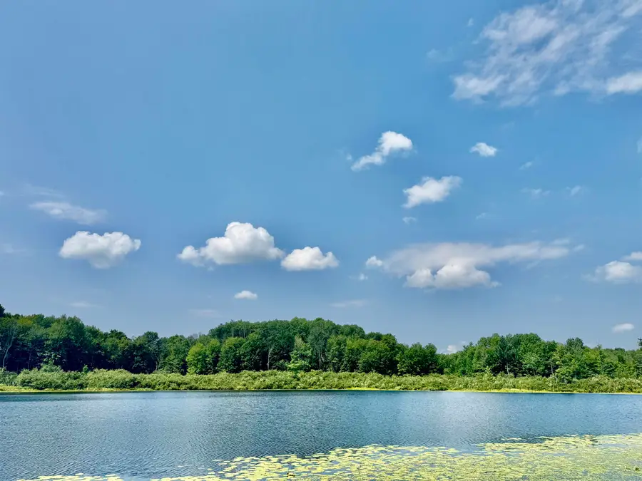 16121 130th, Leroy, MI 49655 - Image #2