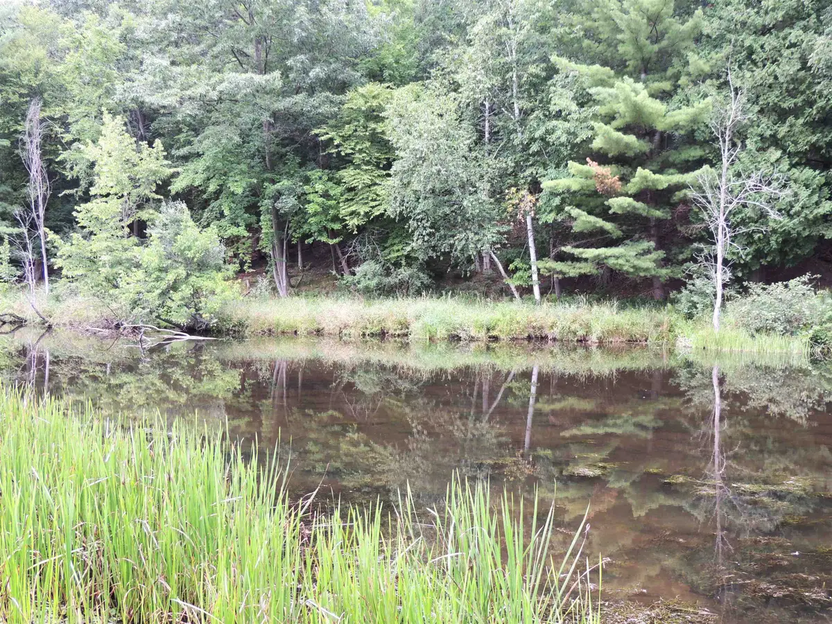 970 N Rolland, Lake Isabella, MI 48893 - Image #1