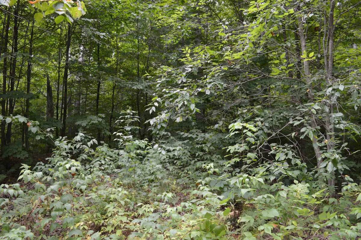 NE Dapokie, Kalkaska, MI 49646 - Image #1