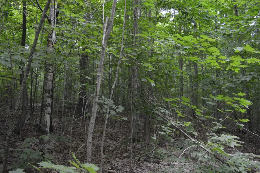 NE Dapokie, Kalkaska, MI 49646 - Image #3