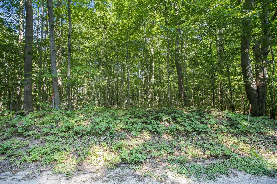 313 Shorewood, Frankfort, MI 49635 - Image #3