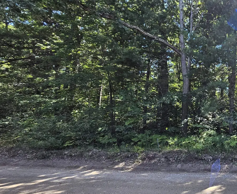 00 Merritt, Fife Lake, MI 49633 - Image #3