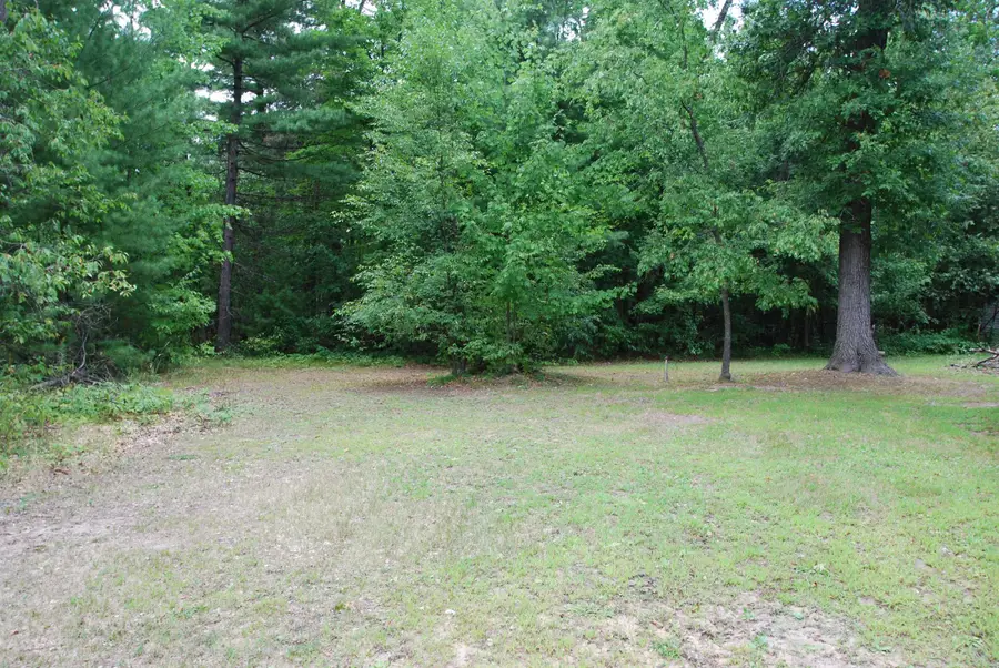 LOT 20 George, Prescott, MI 48756 - Image #2