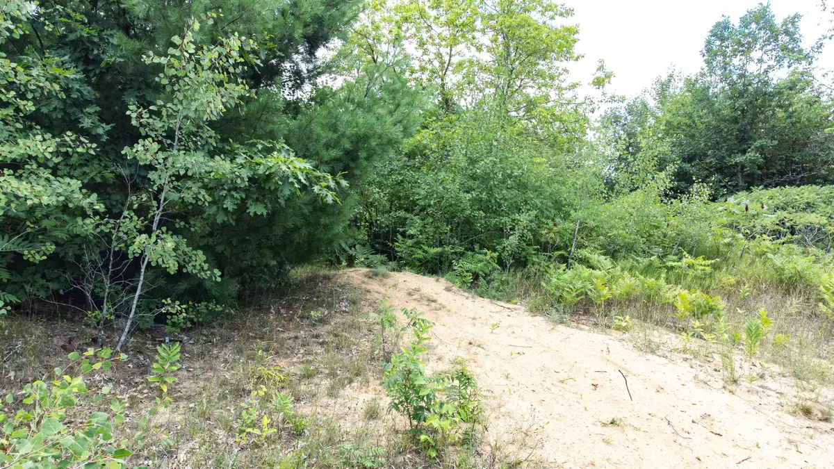 V/L Huston, Cadillac, MI 49601 - Image #1