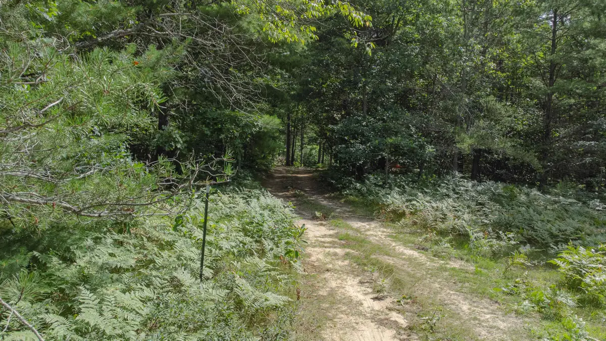 Parcel F Vans, Fife Lake, MI 49633 - Image #1