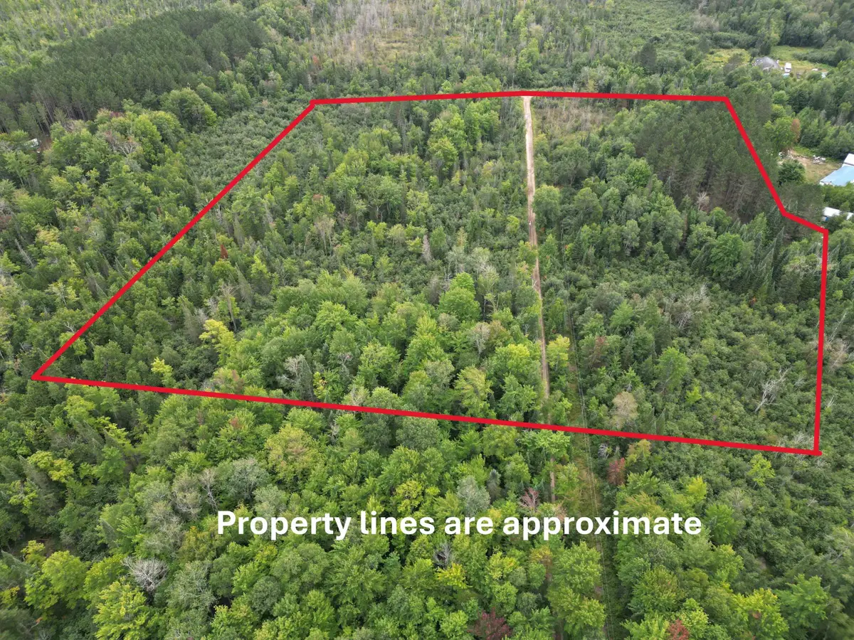 10.11 Acres Golden Road, Se, Kalkaska, MI 49646 - Image #1