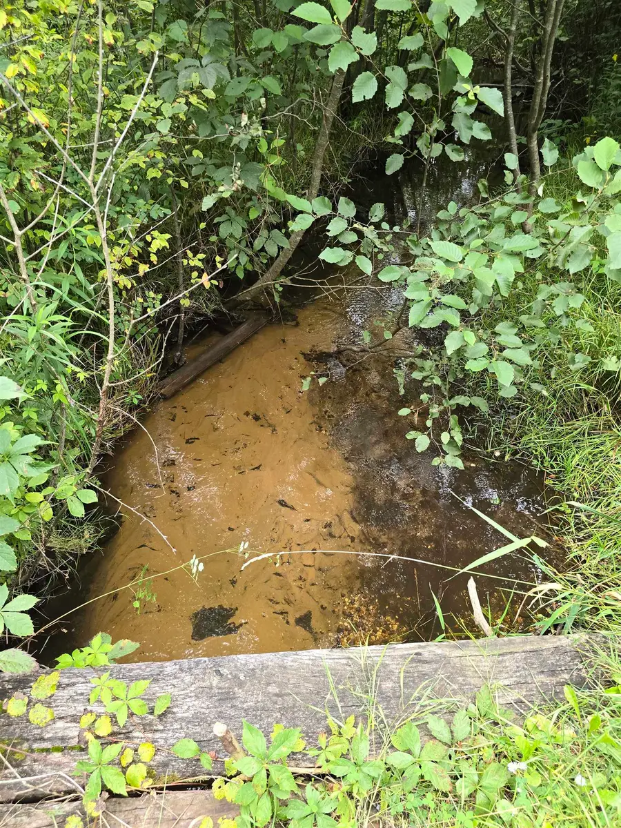 10.11 Acres Golden Road, Se, Kalkaska, MI 49646 - Image #2