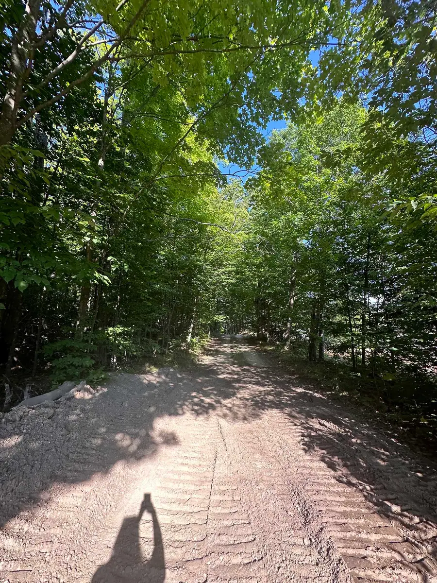 00 Hansel Strause E, Bellaire, MI 49615 - Image #3