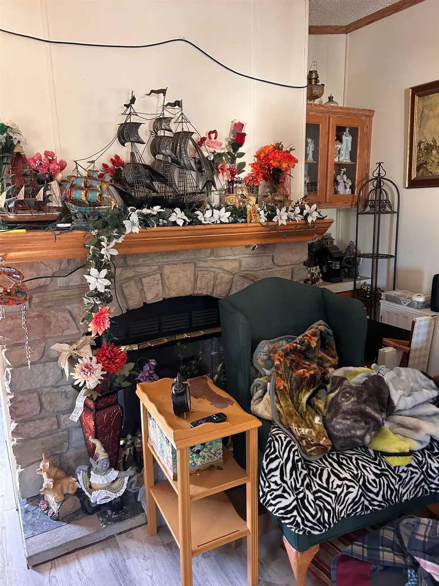 5460 E Lilly, Mount Pleasant, MI 48858 - Image #3