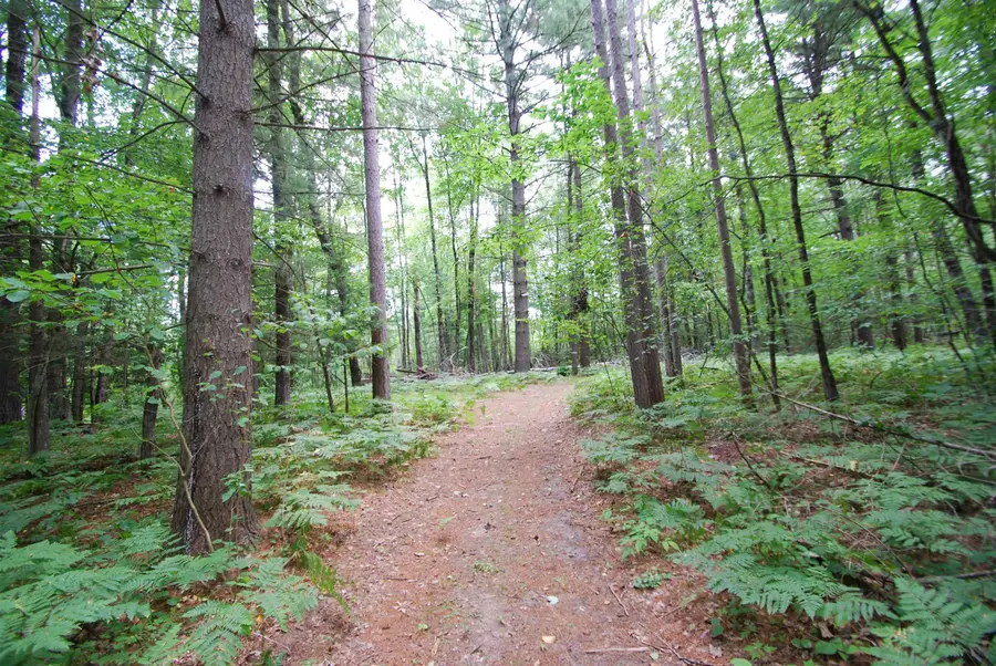 2782 River, Alger, MI 48610 - Image #3